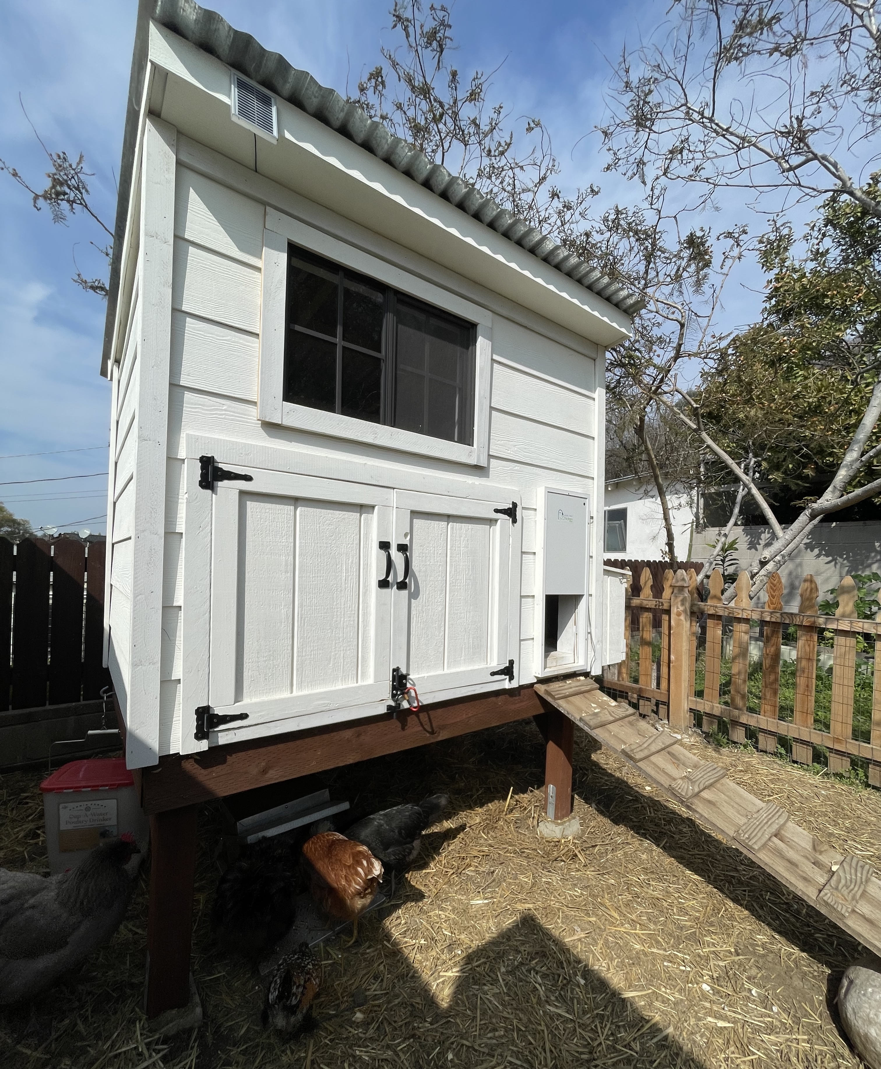 Happy birds produce good eggs and happy humans.