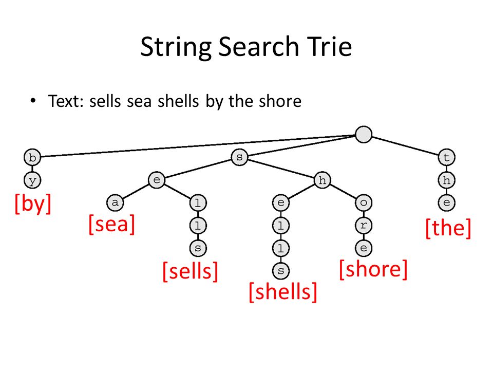 String search trie